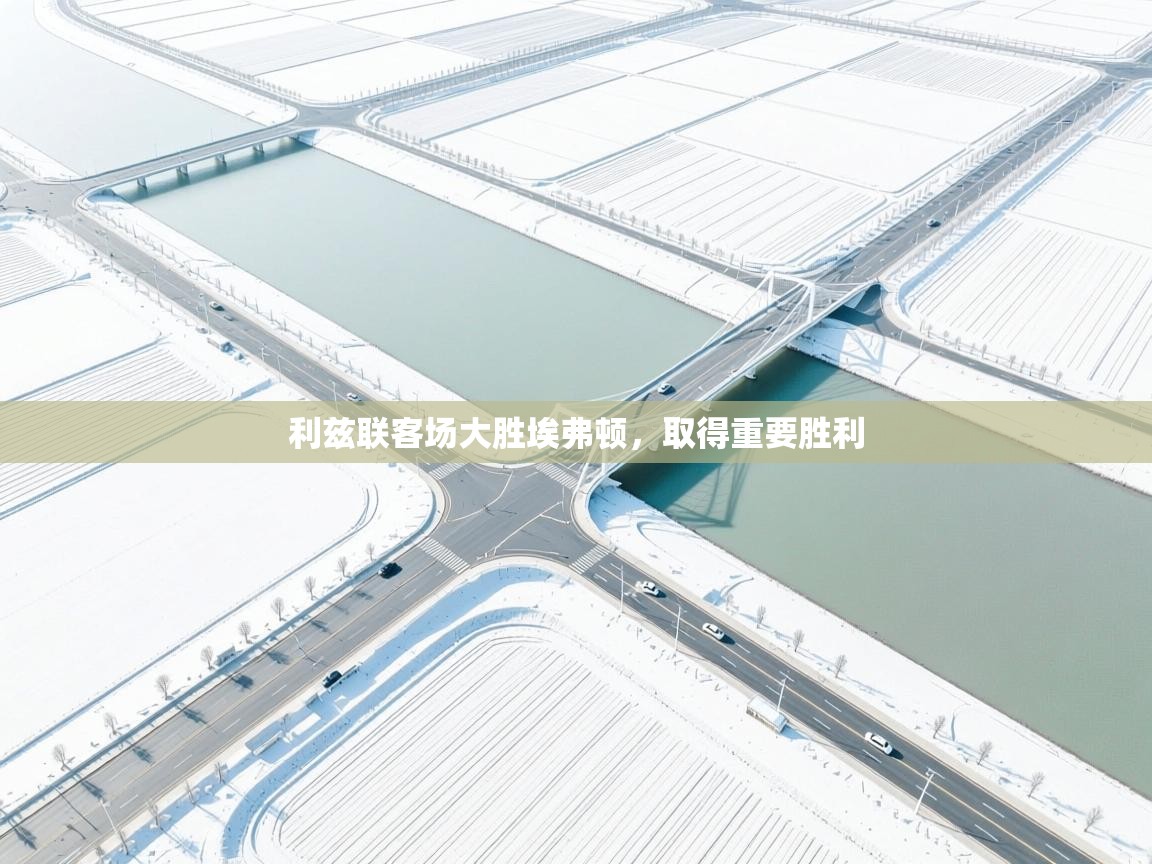 利兹联客场大胜埃弗顿，取得重要胜利  第2张